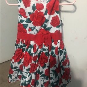 Toddler Carters rose dress